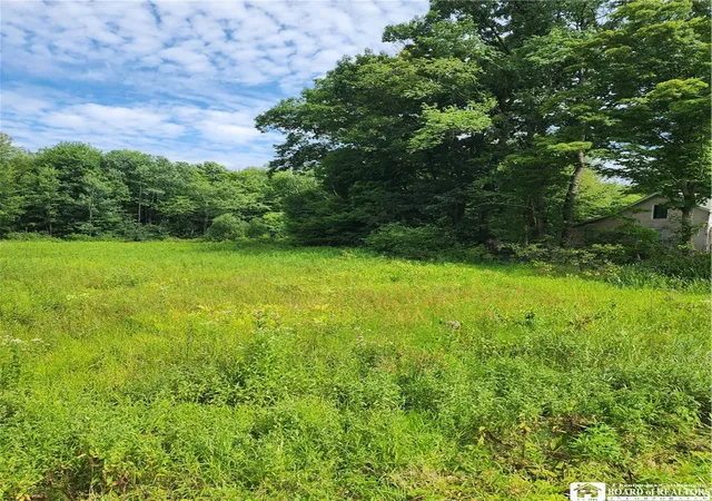 3rd image of 0 School St, Mina, NY 14736 | MLS# R1628615