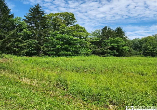 4th image of 0 School St, Mina, NY 14736 | MLS# R1628615