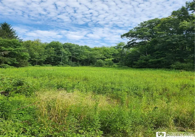 5th image of 0 School St, Mina, NY 14736 | MLS# R1628615
