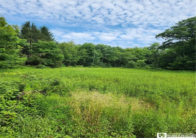 6th image of 0 School St, Mina, NY 14736 | MLS# R1628615