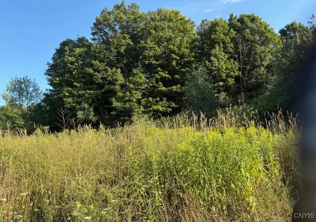 Homes for sale in Ellisburg, NY | 0 County Route 91, Ellisburg, NY 13636 | MLS# S1629831
