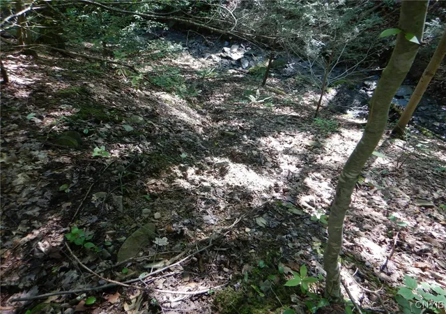 Photo 15 of Sale Pending at 0 Starks Rd, Newfield, NY 14867 | MLS# S1630508 | Listing updated on 2026-07-30