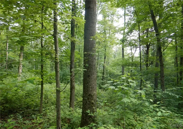 Photo 1 of Sale Pending at 0 Starks Rd, Newfield, NY 14867 | MLS# S1630508 | Listing updated on 2026-07-30
