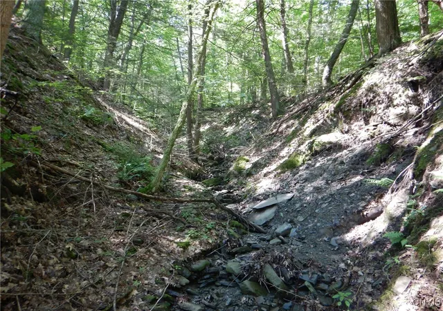Photo 2 of Sale Pending at 0 Starks Rd, Newfield, NY 14867 | MLS# S1630508 | Listing updated on 2026-07-30