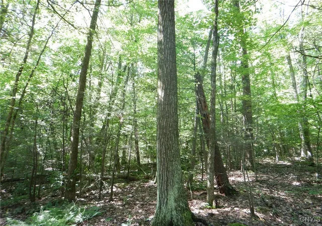 Photo 4 of Sale Pending at 0 Starks Rd, Newfield, NY 14867 | MLS# S1630508 | Listing updated on 2026-07-30