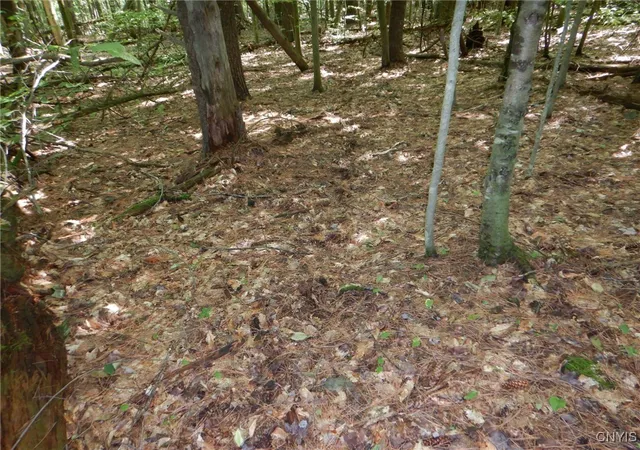Photo 5 of Sale Pending at 0 Starks Rd, Newfield, NY 14867 | MLS# S1630508 | Listing updated on 2026-07-30