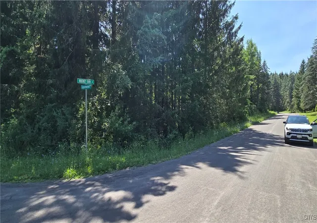 Photo 4 of Land for sale at 7040 Whitney Farm Ln, Jamesville, NY 13078 | MLS# S1626386 | Listing updated on 2026-08-04