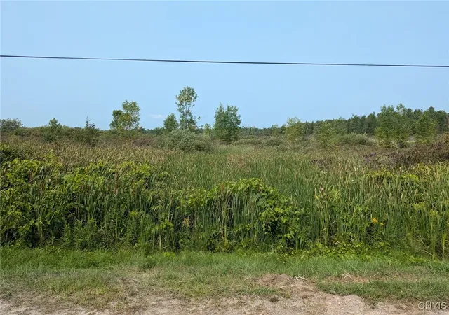 Homes for sale in Clayton, NY | 0 Black Creek Rd, Clayton, NY 13624 | MLS# S1631535