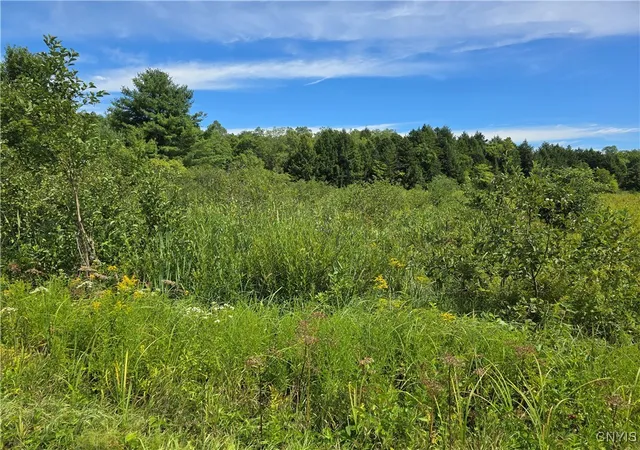 Homes for sale in Florence, NY | Hayes Rd, Florence, NY 13316 | MLS# S1631392