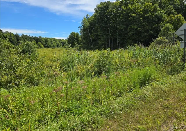 Homes for sale in Florence, NY | Hayes Rd, Florence, NY 13316 | MLS# S1631392