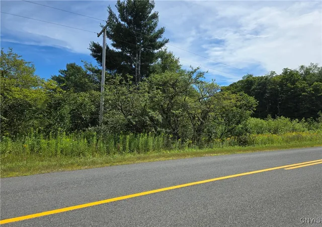 Homes for sale in Florence, NY | Hayes Rd, Florence, NY 13316 | MLS# S1631392