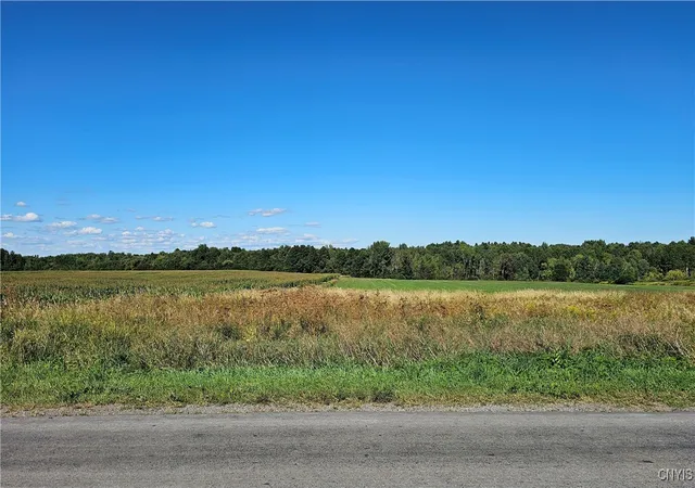 Homes for sale in Denmark, NY | 10730 Old State Rd, Denmark, NY 13619 | MLS# S1632710