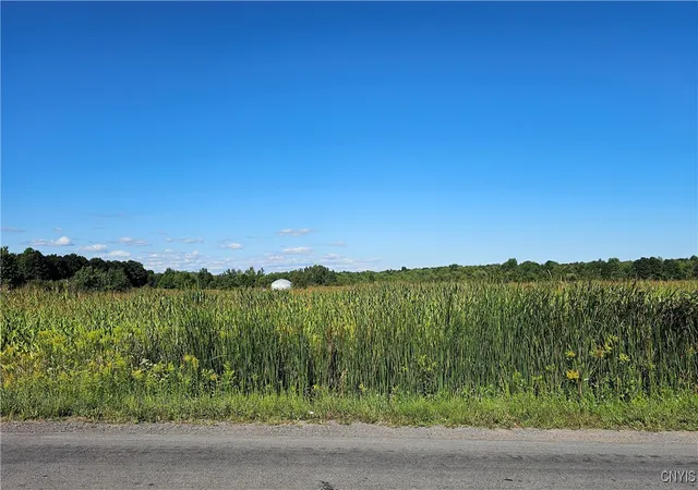 Homes for sale in Denmark, NY | 10730 Old State Rd, Denmark, NY 13619 | MLS# S1632710