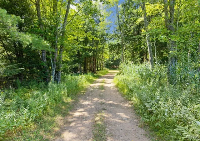 Homes for sale in West Monroe, NY | Land County Rt 11, West Monroe, NY 13167 | MLS# S1631183