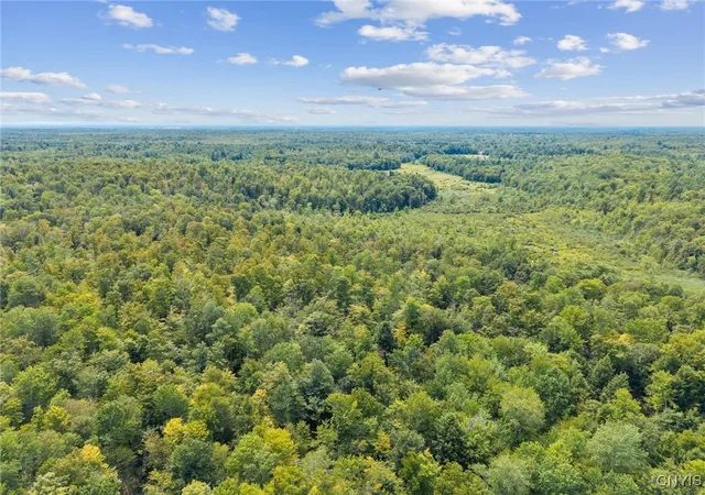 Homes for sale in West Monroe, NY | Land County Rt 11, West Monroe, NY 13167 | MLS# S1631183