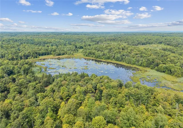 Homes for sale in West Monroe, NY | Land County Rt 11, West Monroe, NY 13167 | MLS# S1631183