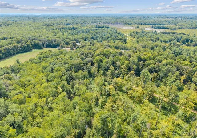 Homes for sale in West Monroe, NY | Land County Rt 11, West Monroe, NY 13167 | MLS# S1631183