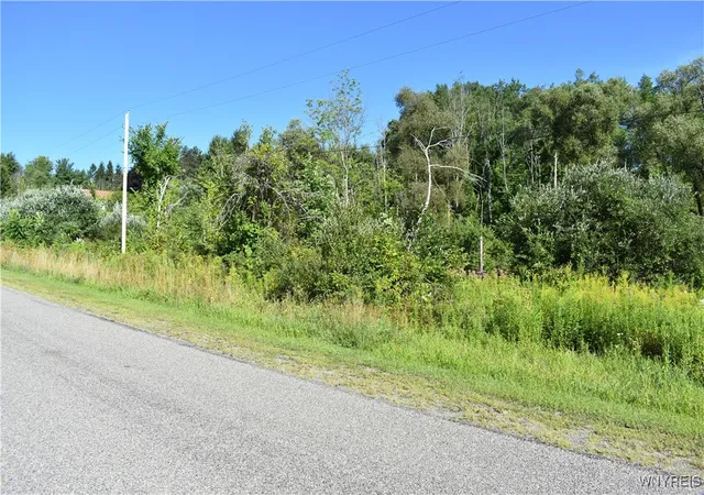 Homes for sale in Otto, NY | 9190 Ball Rd, Otto, NY 14719 | MLS# B1632965