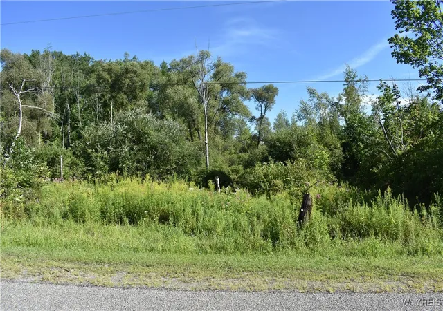 Homes for sale in Otto, NY | 9190 Ball Rd, Otto, NY 14719 | MLS# B1632965