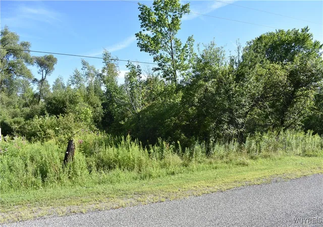 Homes for sale in Otto, NY | 9190 Ball Rd, Otto, NY 14719 | MLS# B1632965