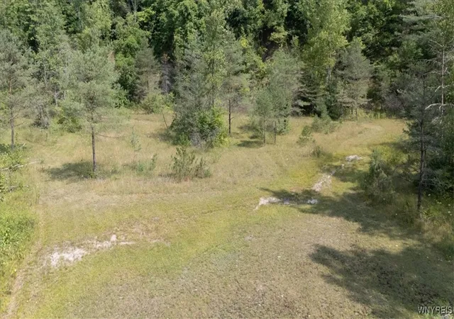 1st image of Vl 202, 21, 23 Knapp Rd, Colden, NY 14033 | MLS# B1594184
