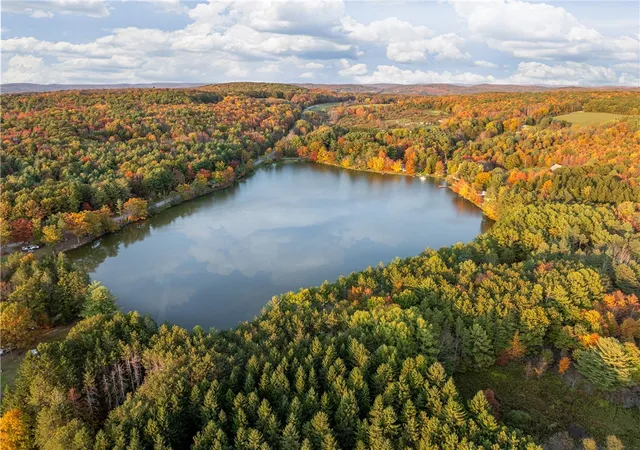 34th image of 0 Masonville Pond Cumming Rd, Sidney Center, NY 13839 | MLS# R1634334