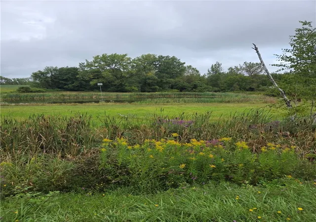 Homes for sale in Darien, NY | 0 Richley Rd, Darien, NY 14036 | MLS# R1635349