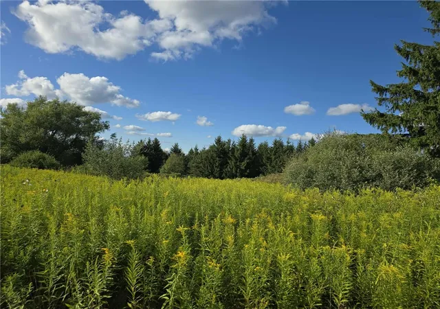 1st image of Call Hill Rd, Hartsville, NY 14806 | MLS# R1635938