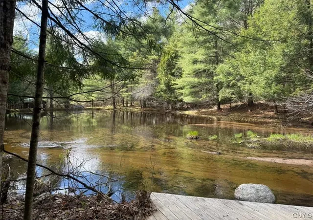 Homes for sale in Watson, NY | 6443 Lingerlong Pond Rd, Watson, NY 13343 | MLS# S1636094