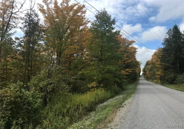 Homes for sale in Orangeville, NY | 3436 Dunham Rd, Orangeville, NY 14569 | MLS# B1636719