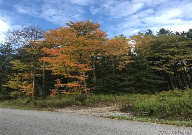 Homes for sale in Orangeville, NY | 3436 Dunham Rd, Orangeville, NY 14569 | MLS# B1636719