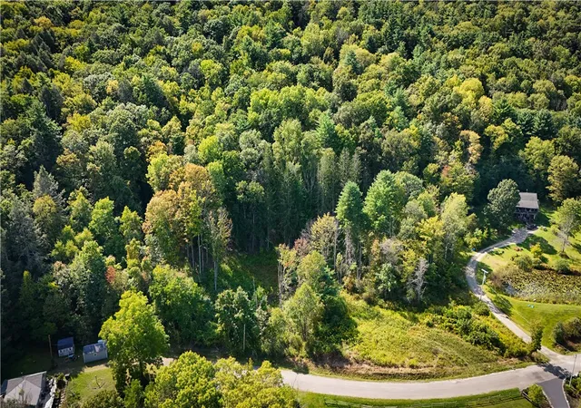 Homes for sale in Barton, NY | 0 Worden Rd, Barton, NY 14892 | MLS# R1637883