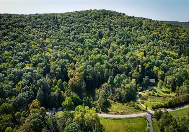 Homes for sale in Barton, NY | 0 Worden Rd, Barton, NY 14892 | MLS# R1637883