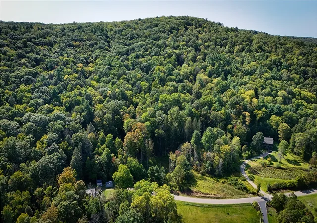 Homes for sale in Barton, NY | 0 Worden Rd, Barton, NY 14892 | MLS# R1637883