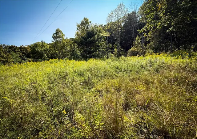 Homes for sale in Barton, NY | 0 Worden Rd, Barton, NY 14892 | MLS# R1637883