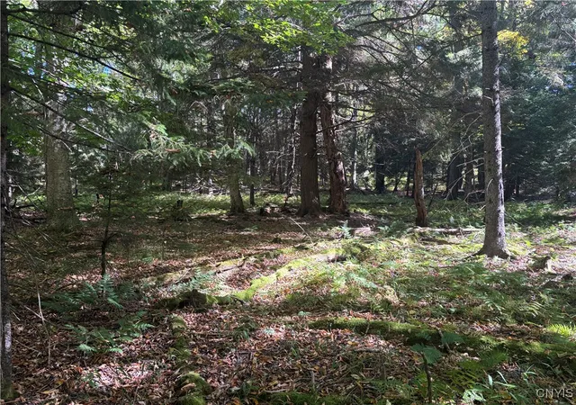 Homes for sale in Webb, NY | Moehs Rd, Webb, NY 13420 | MLS# S1639232