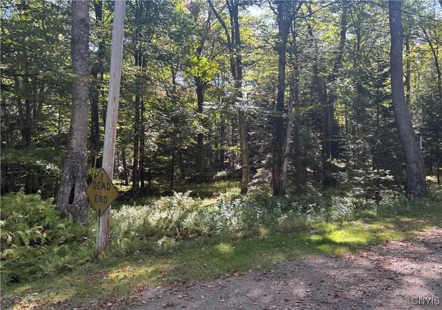 Homes for sale in Webb, NY | Moehs Rd, Webb, NY 13420 | MLS# S1639232