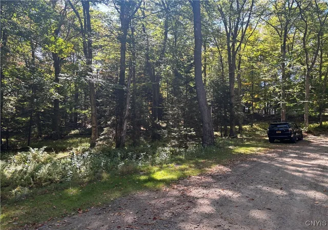 Homes for sale in Webb, NY | Moehs Rd, Webb, NY 13420 | MLS# S1639232