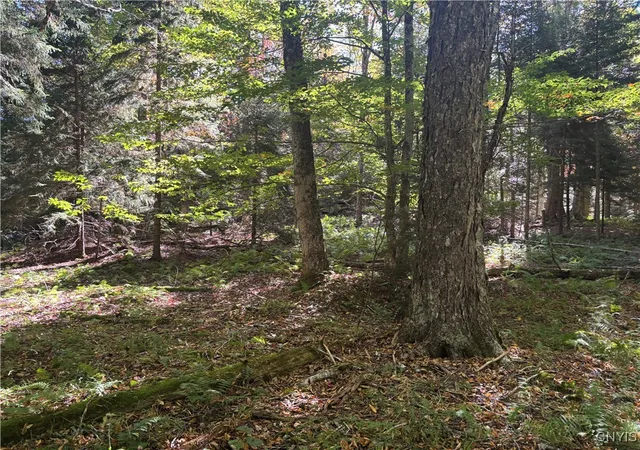 Homes for sale in Webb, NY | Moehs Rd, Webb, NY 13420 | MLS# S1639232