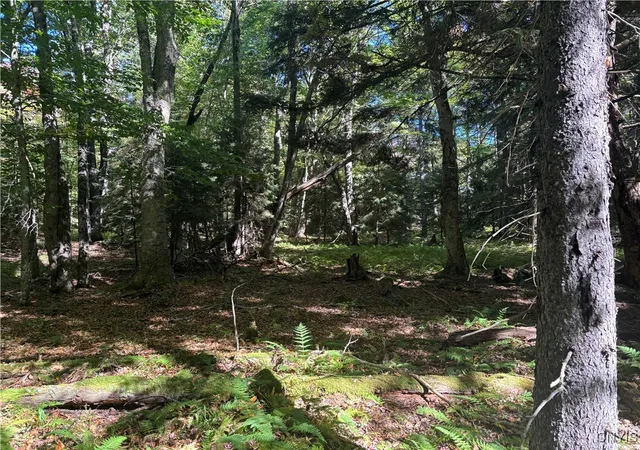 Homes for sale in Webb, NY | Moehs Rd, Webb, NY 13420 | MLS# S1639232