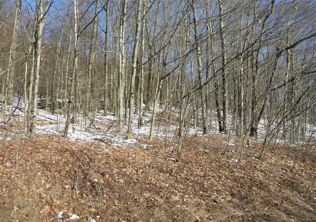 Homes for sale in Hamden, NY | 0 County Hwy 26, Hamden, NY 13782 | MLS# R1639361