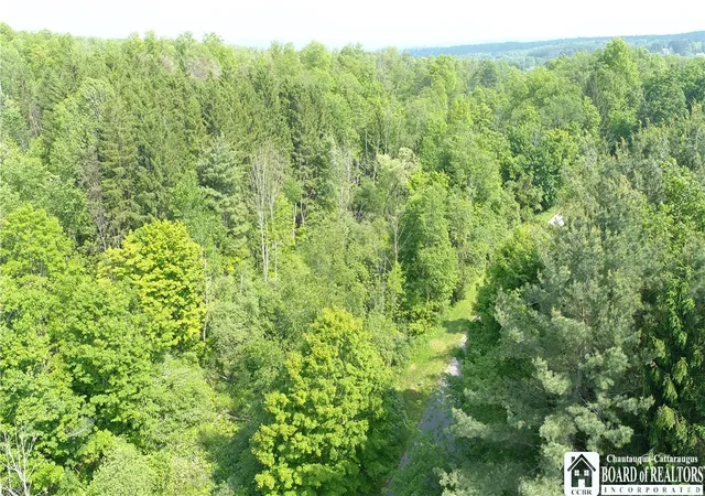 13th image of Orr St, Busti, NY 14701 | MLS# R1639483