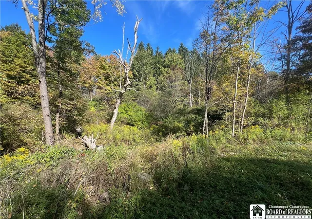 5th image of Orr St, Busti, NY 14701 | MLS# R1639483