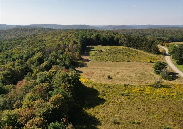 Homes for sale in Spencer, NY | 330 Tallow Hill Road, Spencer, NY 14883 | MLS# R1639317