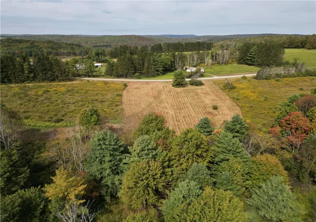 Homes for sale in Spencer, NY | 330 Tallow Hill Road, Spencer, NY 14883 | MLS# R1639317