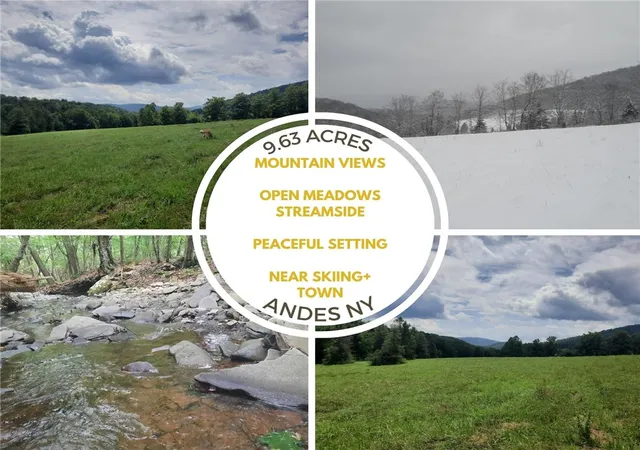Homes for sale in Andes, NY | Tbd Lower Dingle Hill Rd, Andes, NY 13731 | MLS# R1640739