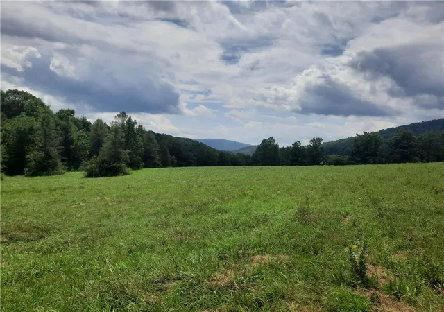 Homes for sale in Andes, NY | Tbd Lower Dingle Hill Rd, Andes, NY 13731 | MLS# R1640739