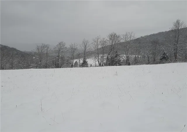 Homes for sale in Andes, NY | Tbd Lower Dingle Hill Rd, Andes, NY 13731 | MLS# R1640739