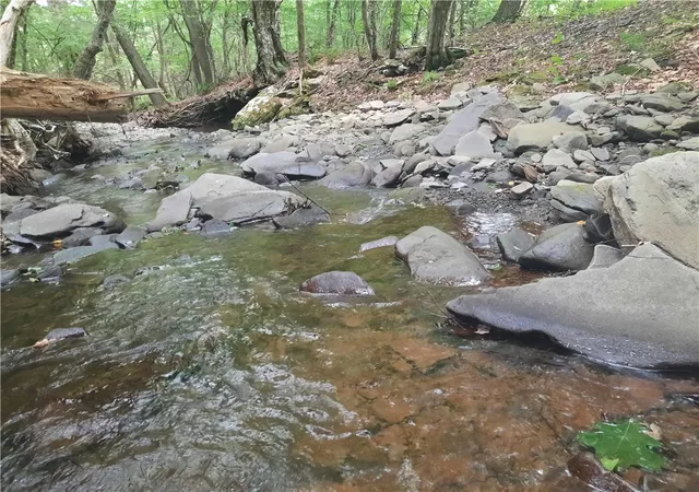 Homes for sale in Andes, NY | Tbd Lower Dingle Hill Rd, Andes, NY 13731 | MLS# R1640739