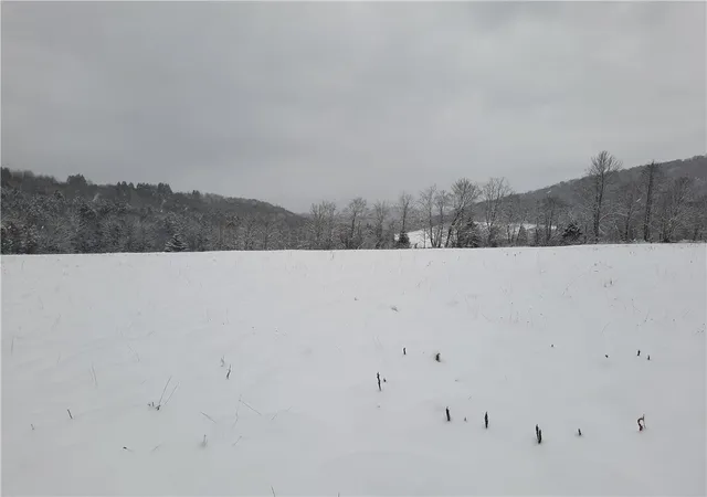 Homes for sale in Andes, NY | Tbd Lower Dingle Hill Rd, Andes, NY 13731 | MLS# R1640739